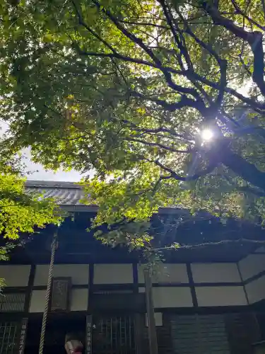 南禅寺(京都府)