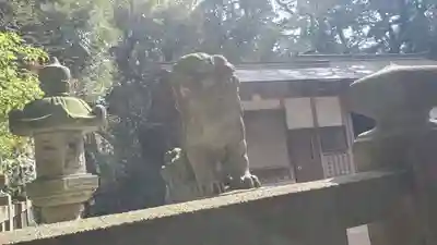 諏訪神社の狛犬