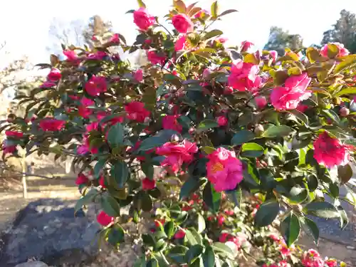 興聖寺(栃木県)