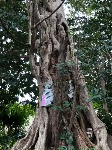 有鹿神社の自然