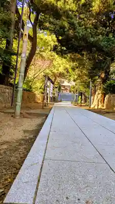登渡神社(千葉県)
