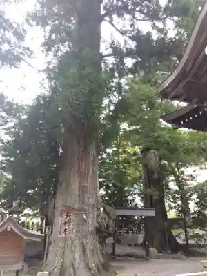 森水無八幡神社(岐阜県)