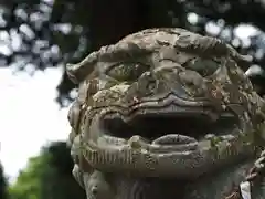 鰐河神社の狛犬