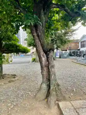 長福寺(東京都)
