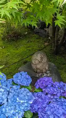 勝林寺(京都府)