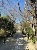 極楽寺(霊鷲山感應院極楽律寺)のその他建物