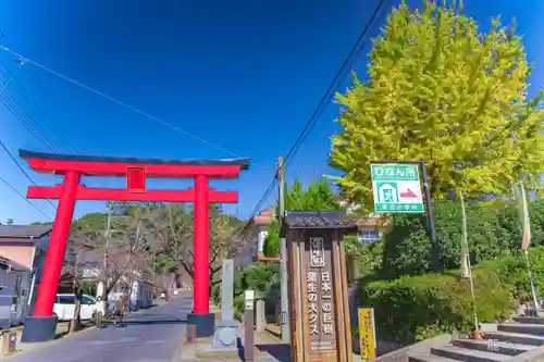 蒲生八幡神社(鹿児島県)
