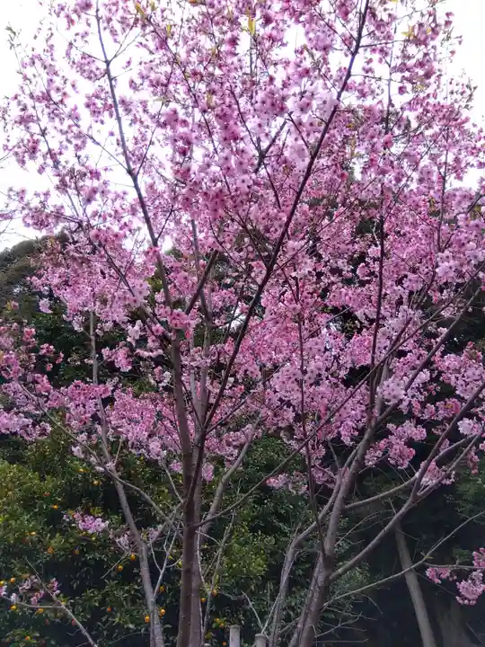 熊野若王子神社(京都府)