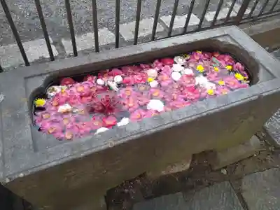 安行吉岡氷川神社の手水舎