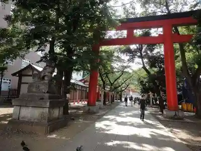 花園神社の鳥居