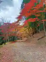 吉野神宮(奈良県)