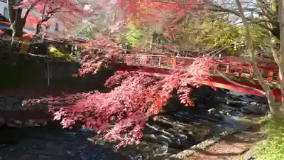 修禅寺(静岡県)