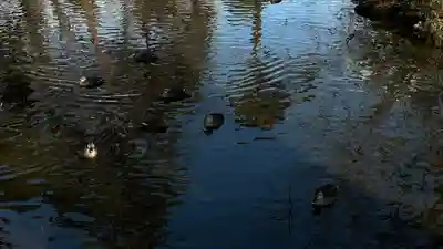 出羽国分寺薬師堂(山形県)