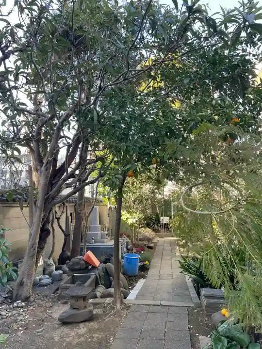 長元寺の{uncategorized: "未分類", other: "その他", undefined: "問題あり", building: "その他建物", grave: "お墓", sacred_gate: "鳥居", guardian: "狛犬", statue: "像", buddha: "仏像", history: "歴史", nature: "自然", garden: "庭園", animal: "動物", pagoda: "塔", temizu: "手水舎", mountain_gate: "山門・神門", sanctuary: "本殿・本堂", subordinate: "末社・摂社", art: "芸術", scenery: "景色", jizo: "地蔵", ema: "絵馬", goshuin: "御朱印", omikuji: "おみくじ", items: "授与品その他", amulet: "お守り", goshuincho: "御朱印帳", eats: "食事", festival: "お祭り", votive_dance: "神楽", shichigosan: "七五三参", wedding: "結婚式", experience: "体験その他", initially: "初詣", around: "周辺", anti_infection: "感染症対策"}