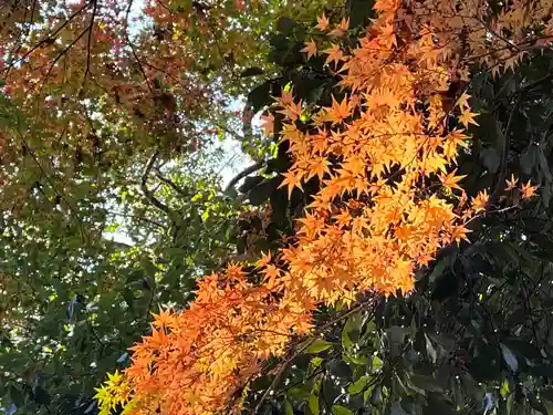 枚岡神社の自然