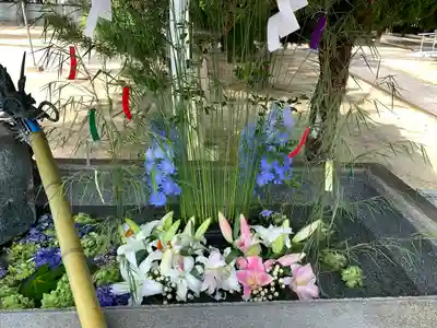 三津厳島神社の手水舎