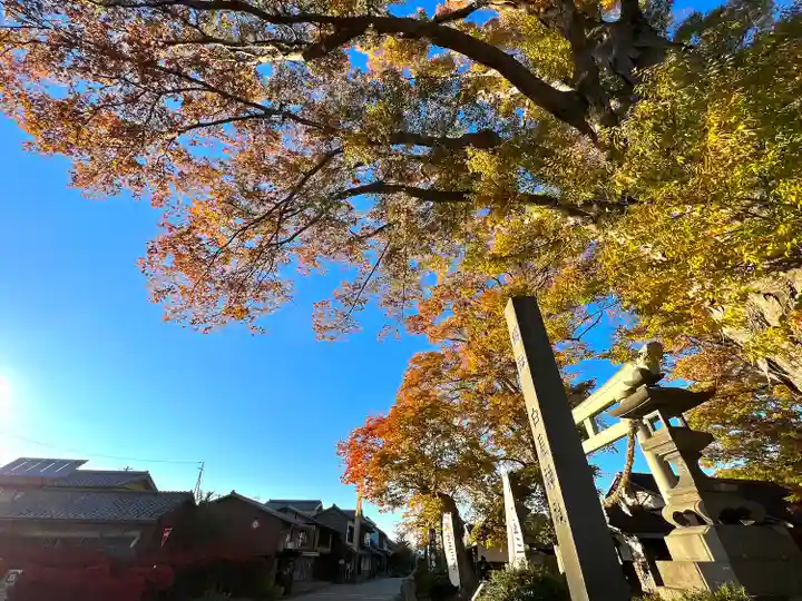 白鳥神社(長野県)