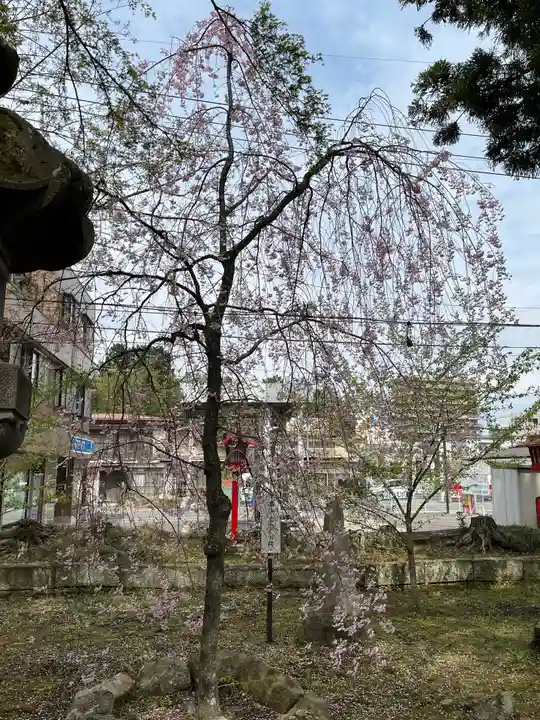 神炊館神社 ⁂奥州須賀川総鎮守⁂(福島県)