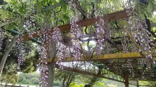 武蔵第六天神社の庭園