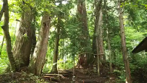 戸隠神社火之御子社の自然