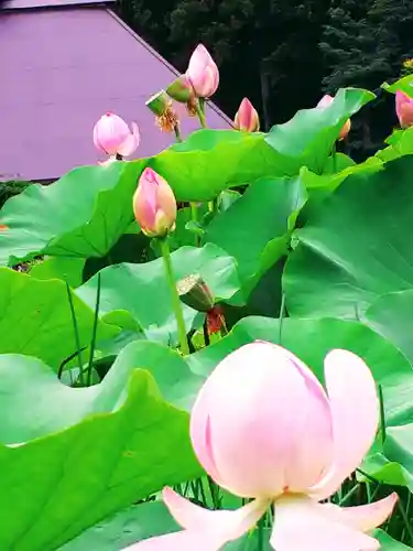 久那斗神社の庭園