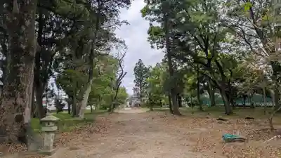 若宮八幡宮(京都府)