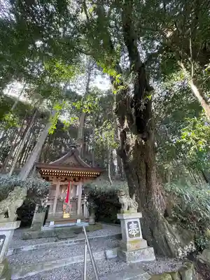 八坂神社(奈良県)