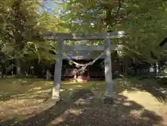 大網高龗神社の鳥居