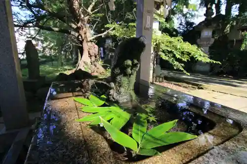 神炊館神社 ⁂奥州須賀川総鎮守⁂の手水