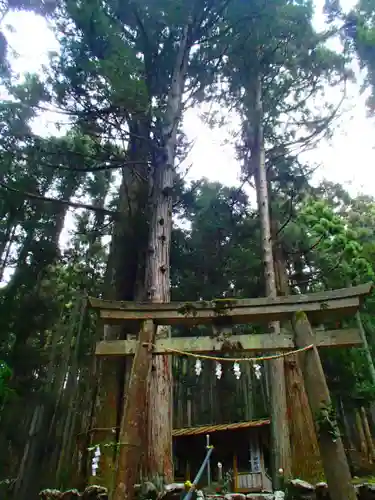 諏訪神社の鳥居