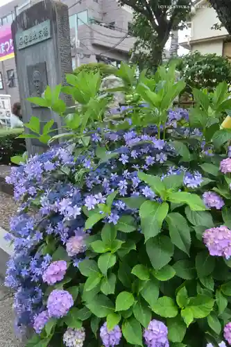 白山神社(東京都)