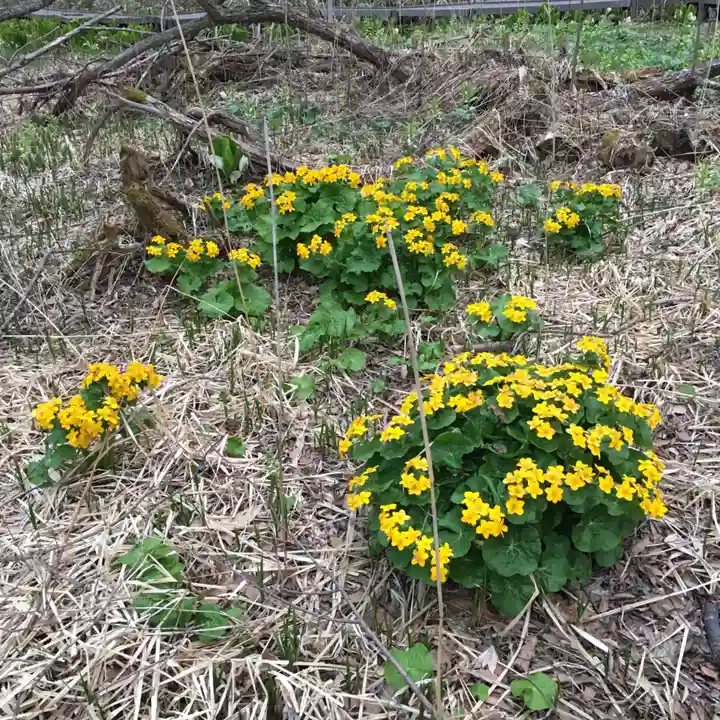 清田稲荷神社(北海道)