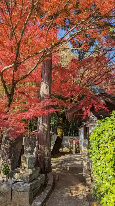西雲院(京都府)