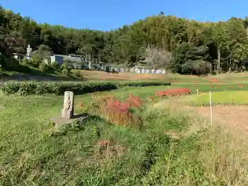 稲荷神社(千葉県)
