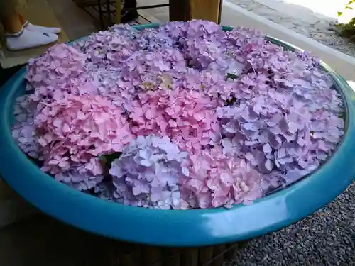 岩船寺の手水舎