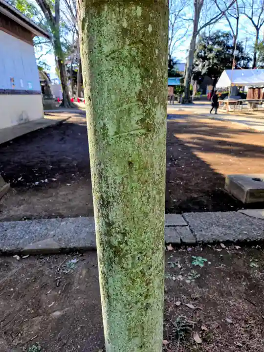 神明大神(中丸子神社)(神奈川県)