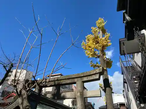 秋葉神社の鳥居