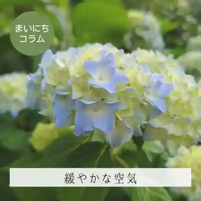 壽徳寺 じゅとくじ(福島県)