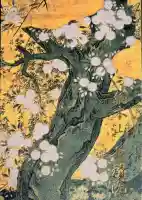 真福寺の{uncategorized: "未分類", other: "その他", undefined: "問題あり", building: "その他建物", grave: "お墓", sacred_gate: "鳥居", guardian: "狛犬", statue: "像", buddha: "仏像", history: "歴史", nature: "自然", garden: "庭園", animal: "動物", pagoda: "塔", temizu: "手水舎", mountain_gate: "山門・神門", sanctuary: "本殿・本堂", subordinate: "末社・摂社", art: "芸術", scenery: "景色", jizo: "地蔵", ema: "絵馬", goshuin: "御朱印", omikuji: "おみくじ", items: "授与品その他", amulet: "お守り", goshuincho: "御朱印帳", eats: "食事", festival: "お祭り", votive_dance: "神楽", shichigosan: "七五三参", wedding: "結婚式", experience: "体験その他", initially: "初詣", around: "周辺", anti_infection: "感染症対策"}