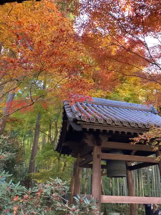 圓光寺(京都府)