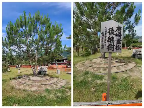 唐崎神社(滋賀県)
