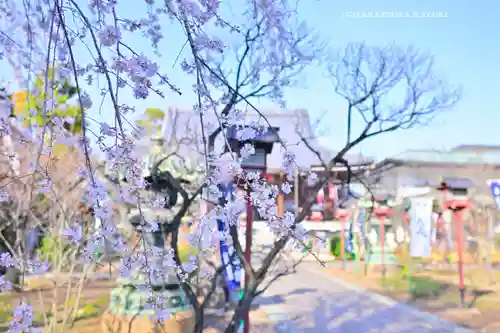 寛永寺開山堂(東京都)