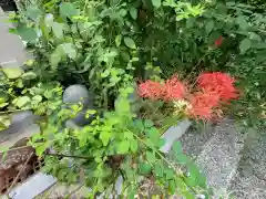 勝念寺（かましきさん）(京都府)