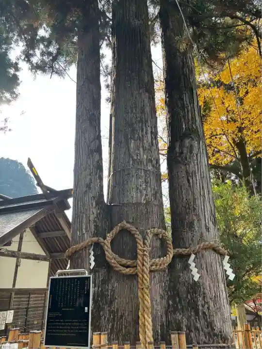 奥氷川神社(東京都)