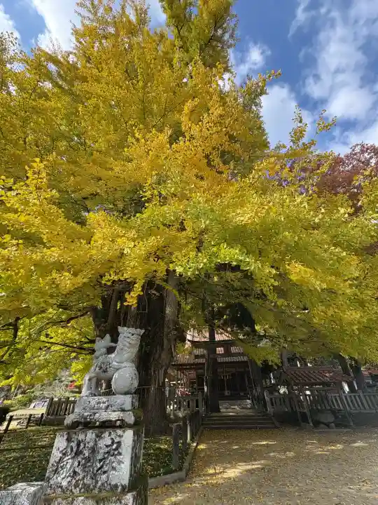 筒賀大歳神社(広島県)