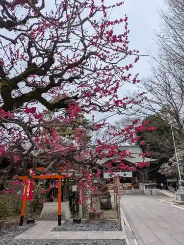 布多天神社(東京都)