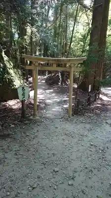 室生龍穴神社の鳥居