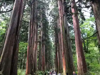 戸隠神社奥社(長野県)