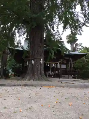 賀羅加波神社の本殿・本堂