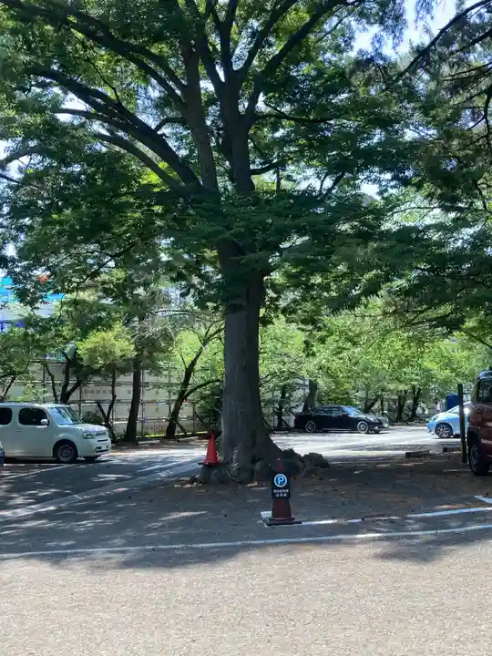 平塚八幡宮(神奈川県)